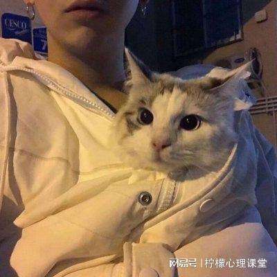 迷你世界微信版下载