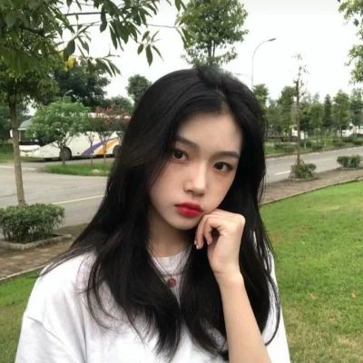 动物森林法则游戏下载